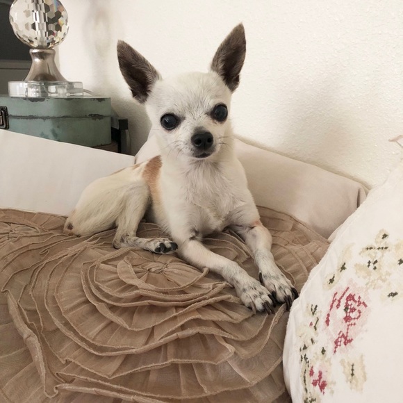 Meet your seller! - Picture 8 of 8